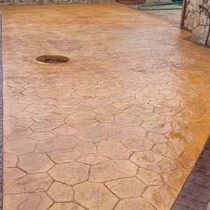 WhatsApp Image 2025-09-15 at 09.57.36